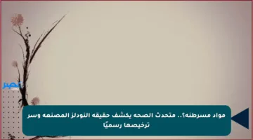 مواد مسرطنة؟.. متحدث الصحة يكشف حقيقة النودلز المصنعة وسر ترخيصها رسميًا